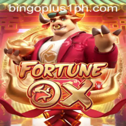 Understanding the Exciting Dynamics of FortuneOx and Bingoplus1