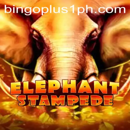 Discover the Excitement of ElephantStampede with Bingoplus1
