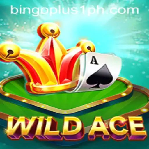 Exploring the Dynamic World of WildAce: A Complete Guide to Bingoplus1